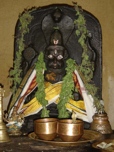 karancha narasimhan