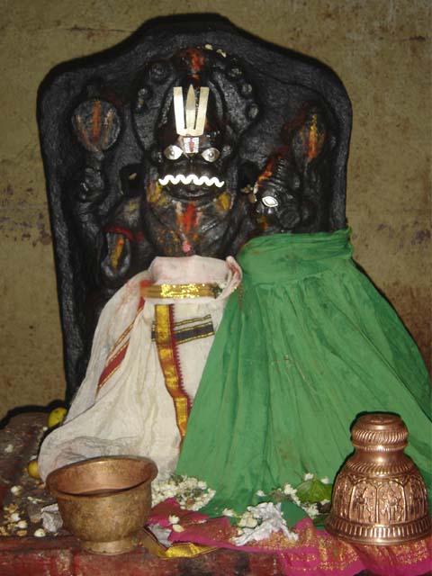 bhavana narasimhan